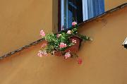 160-Sighisoara,4 agosto 2011
